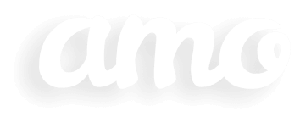 amocrm-audience-2