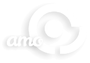 amocrm-audience-3