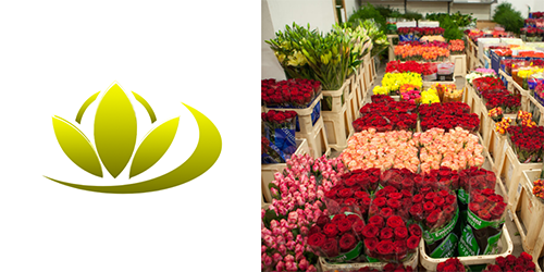 Где закупают цветы для цветочных магазинов — список проверенных цветочныхбаз и складов