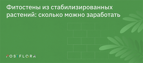 Что такое фитостена и как создать фитомодуль своими руками?