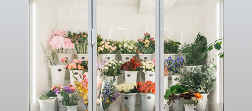 Цветы В Цветочном Магазине Названия И Фото